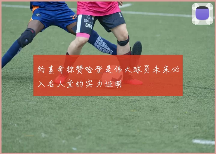 约基奇称赞哈登是伟大球员未来必入名人堂的实力证明