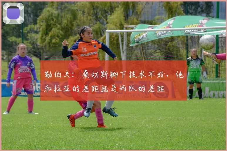 勒伯夫：桑切斯脚下技术不好，他和拉亚的差距就是两队的差距